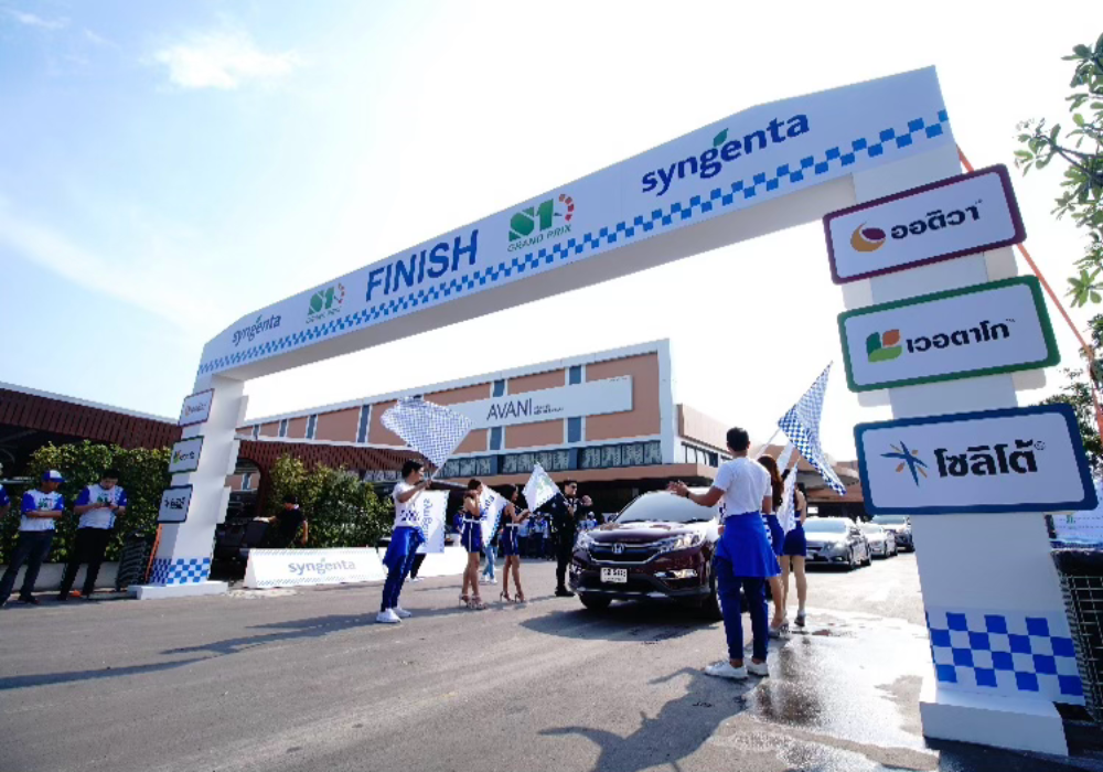 Rally & Team Building 